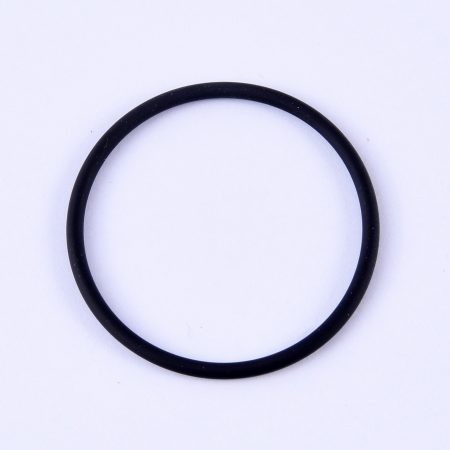 Valve O Ring